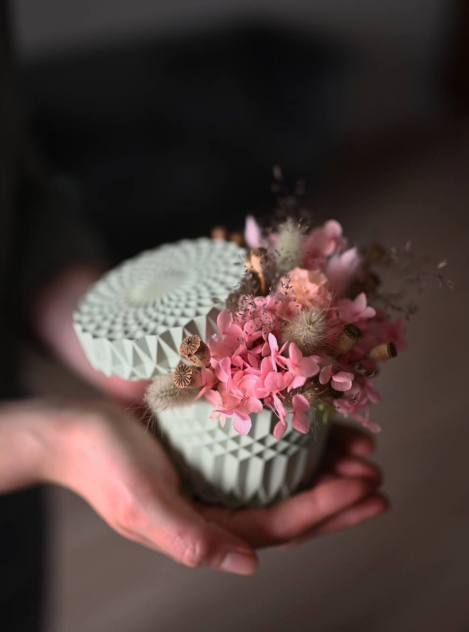 Флористика