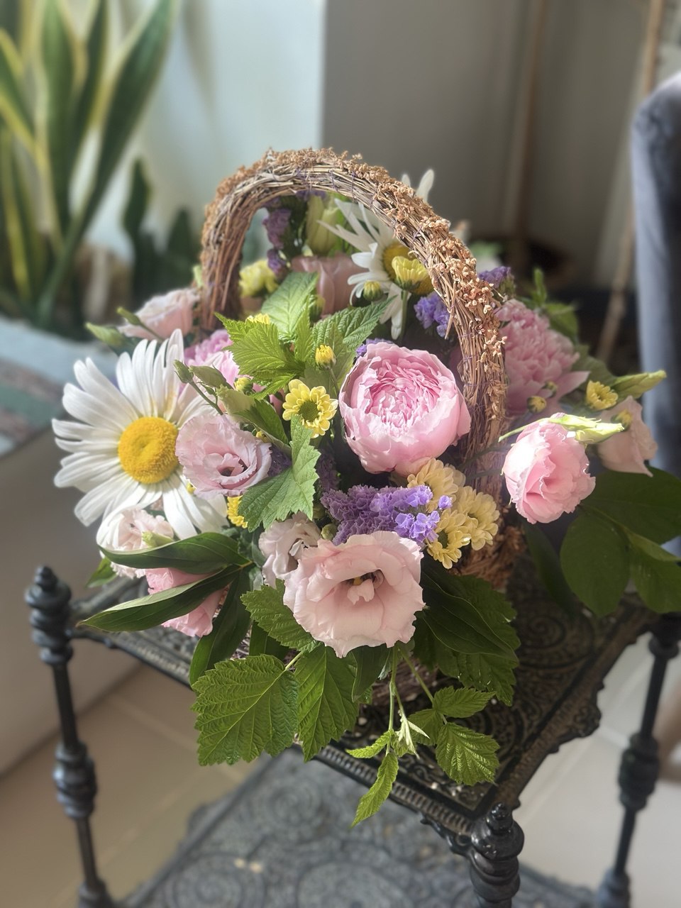 Флористика